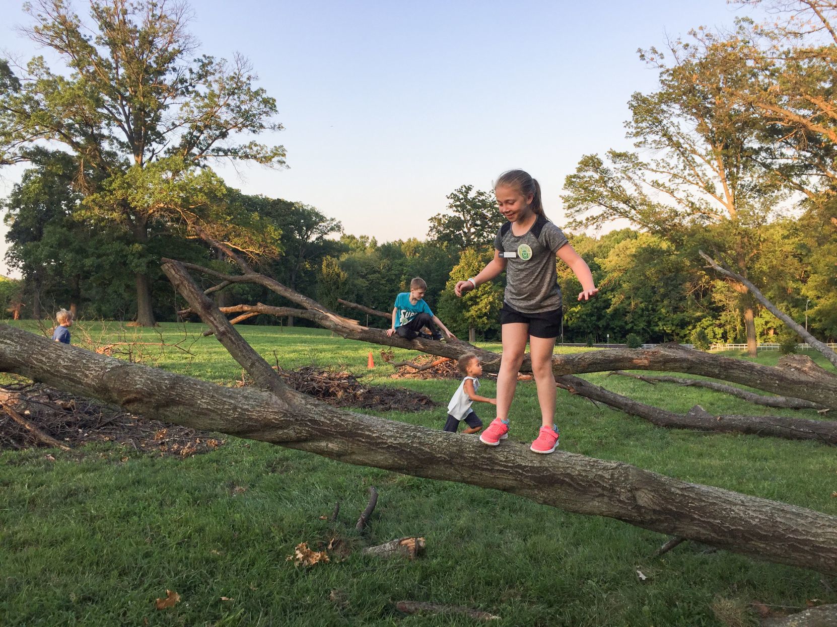 Nature Playscape in Forest Park